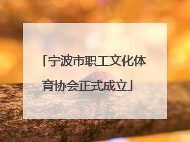 宁波市职工文化体育协会正式成立